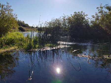 Последняя голавлиная охота