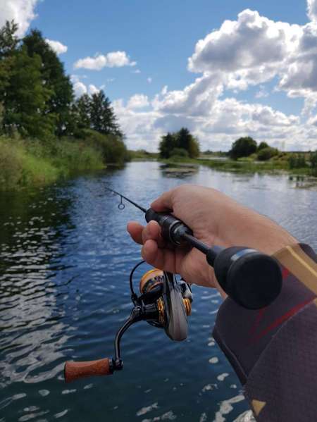 Последняя голавлиная охота