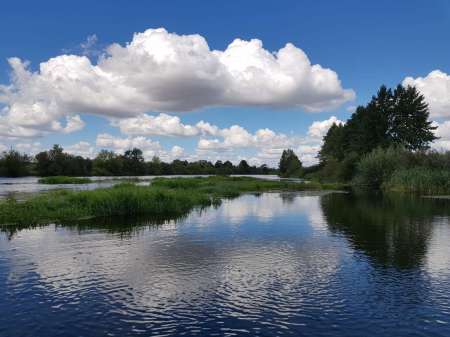 Последняя голавлиная охота