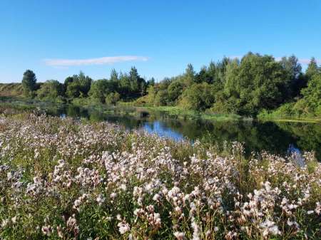 Последняя голавлиная охота