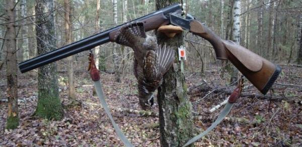 Профессиональная охота на рябчика Профессиональная охота на рябчика