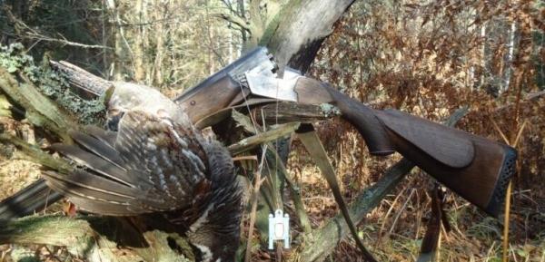 Профессиональная охота на рябчика Профессиональная охота на рябчика