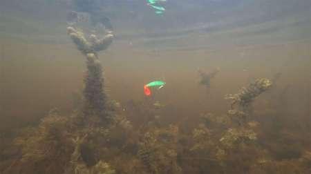 Самые уловистые монтажи для ловли щуки в траве Самые уловистые монтажи для ловли щуки в траве