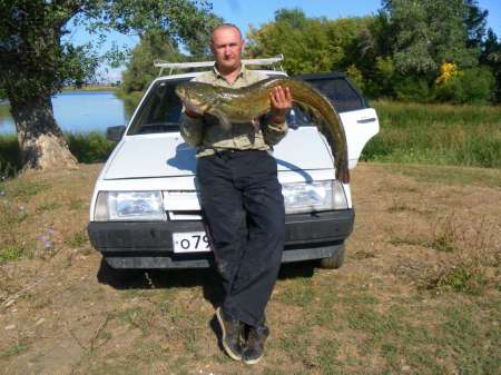 Сом 10,5 кг на спиннербейт от компании WolFish