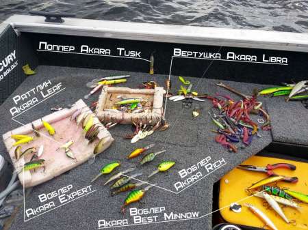 Трофейный окунь на кренки