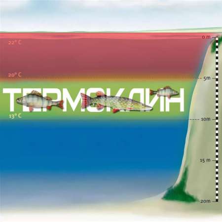 Трофейный окунь на кренки