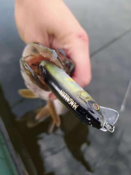 Проснулся с чувством путешественника