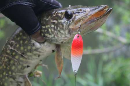 Уловистая проводка колебалки