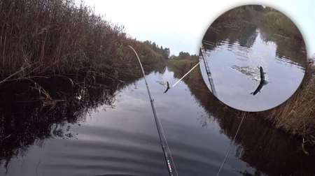 Воблеры. Осенний жор щуки.