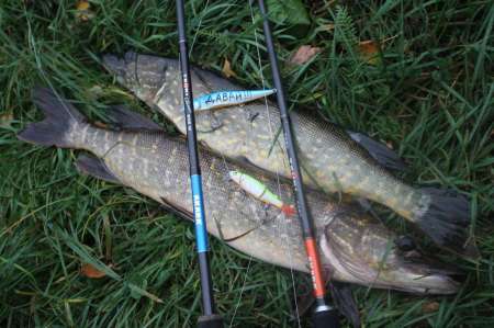 Воблеры. Осенний жор щуки.