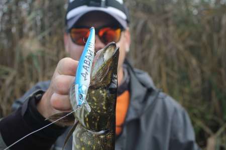 Воблеры. Осенний жор щуки.