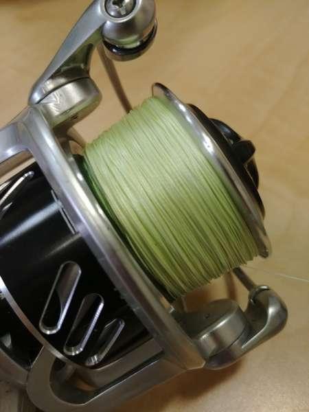 Восьмижилка на тайменя Восьмижилка на тайменя