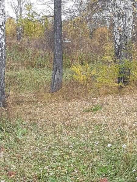 Выезд на рыбалку 1 октября