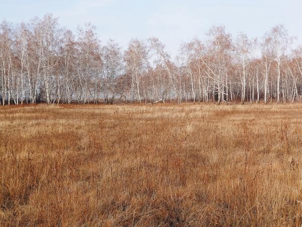 Открытие по косуле 2020 Открытие по косуле 2020