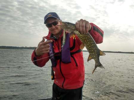 Как разловить новые воблеры на щуку?