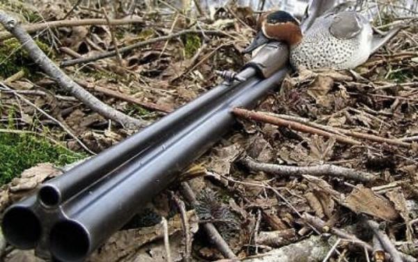 Как выбрать охотничье ружье Как выбрать охотничье ружье