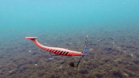 Все ошибки при ловле трофейной щуки