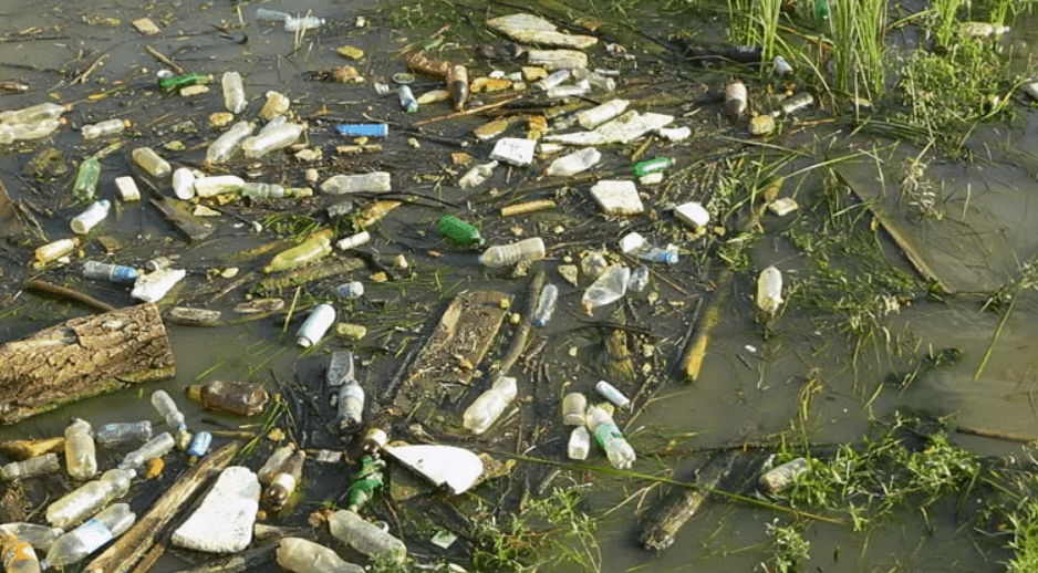 Фото загрязнения водоемов