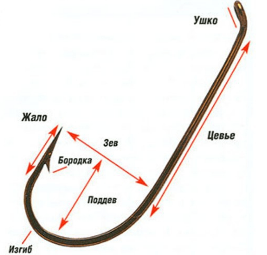 Как правильно выбрать крючок для рыбалки