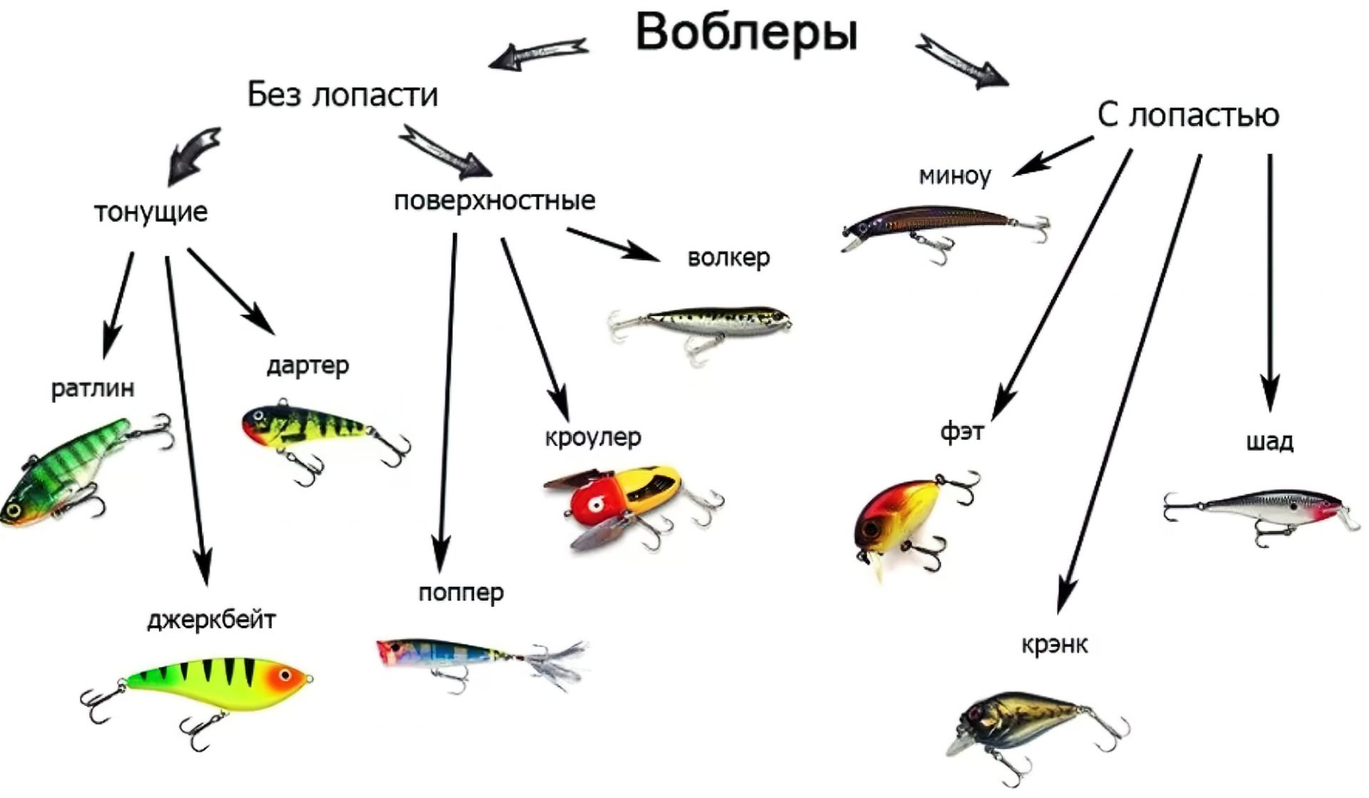 рыба азовского моря список